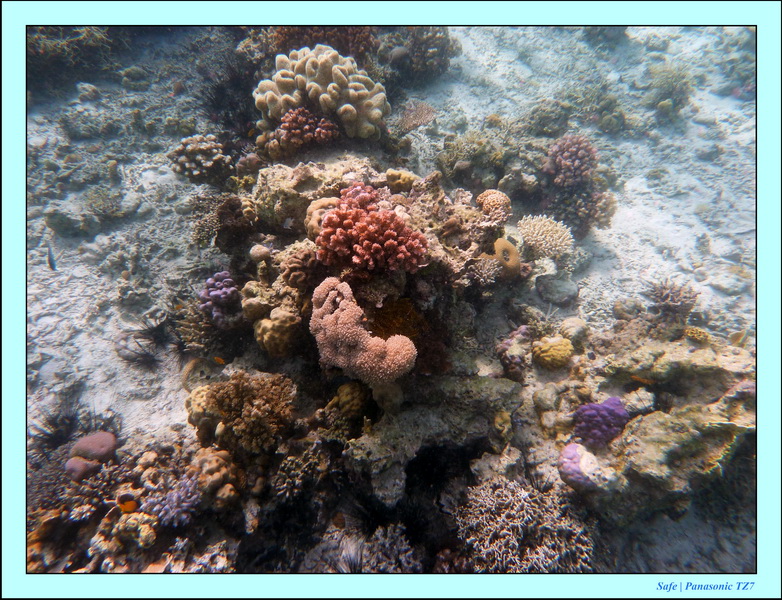 209   07   Sibuan 06